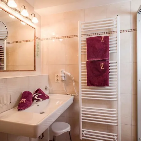 Hotel Viktoria & Joggl 3*
